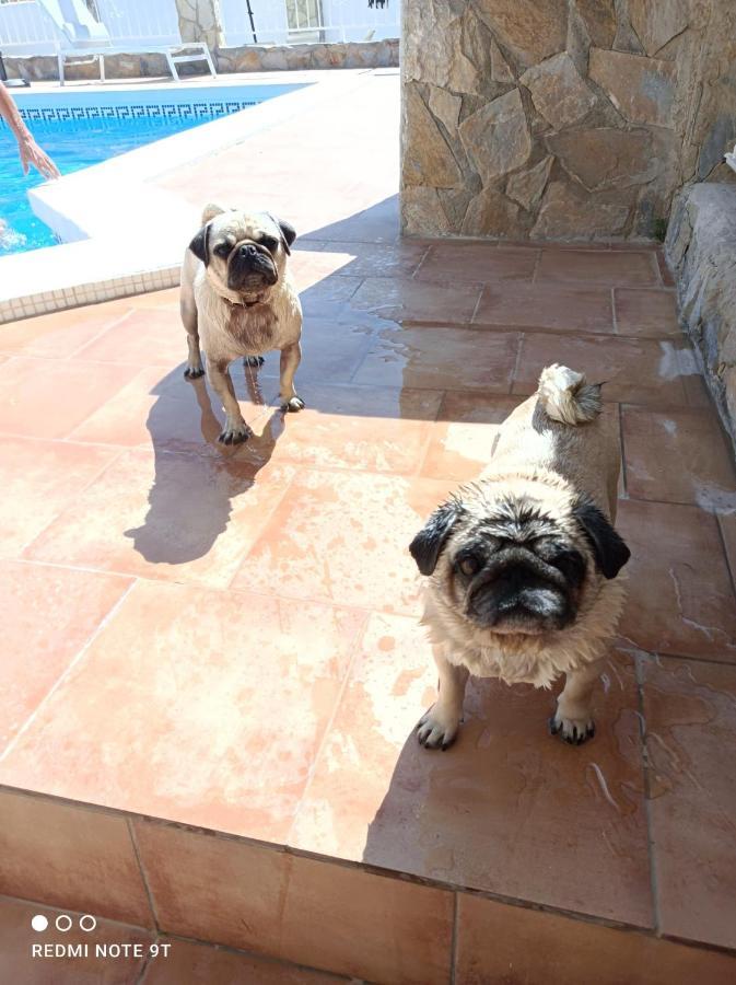 Apartment Costa Blanca موتيكْتْساميل المظهر الخارجي الصورة